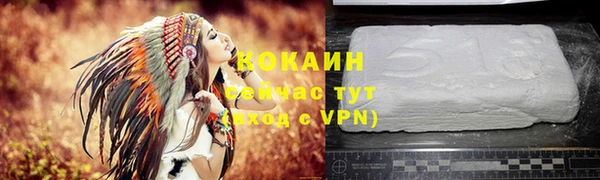 крисы Михайловка