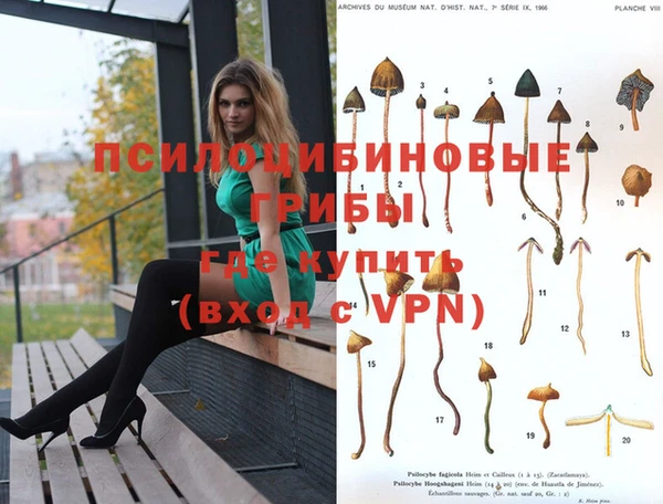 наркотики Михайлов