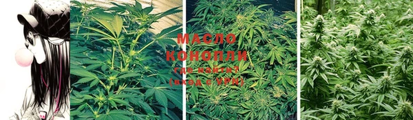 крисы Михайловка