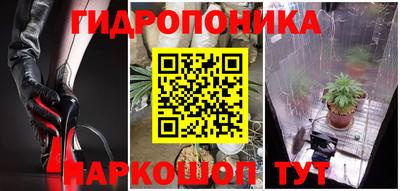 дмт Кандалакша