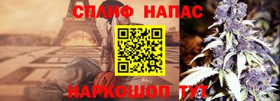 спиды Канаш