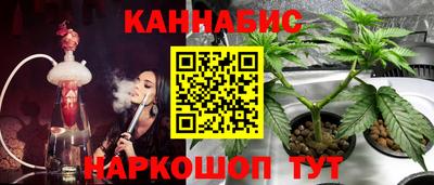 спиды Канаш