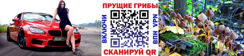 Галлюциногенные грибы мицелий  Благовещенск 