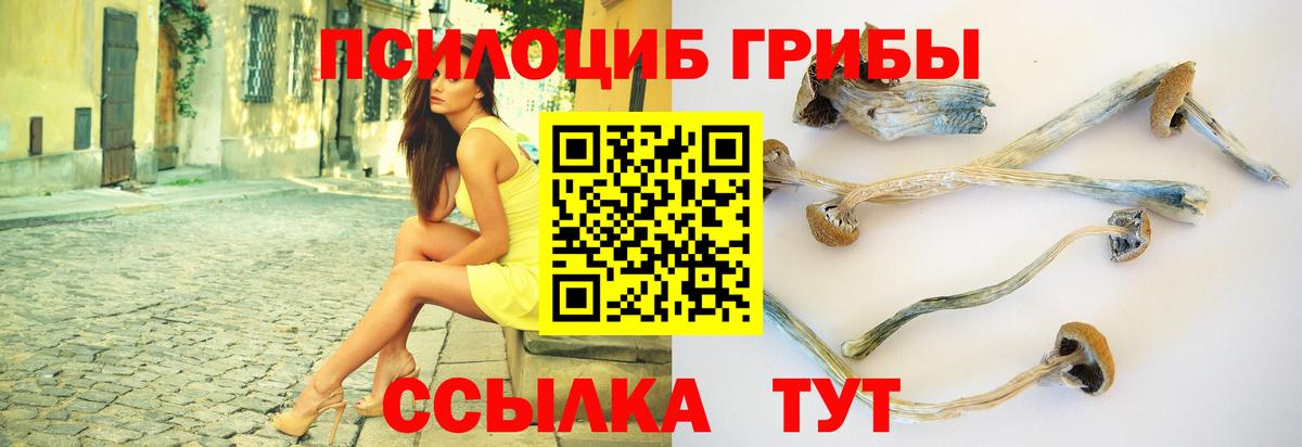 Галлюциногенные грибы Psilocybine cubensis  Вход с VPN  купить закладку  Благовещенск  Псилоцибиновые грибы ЛСД 